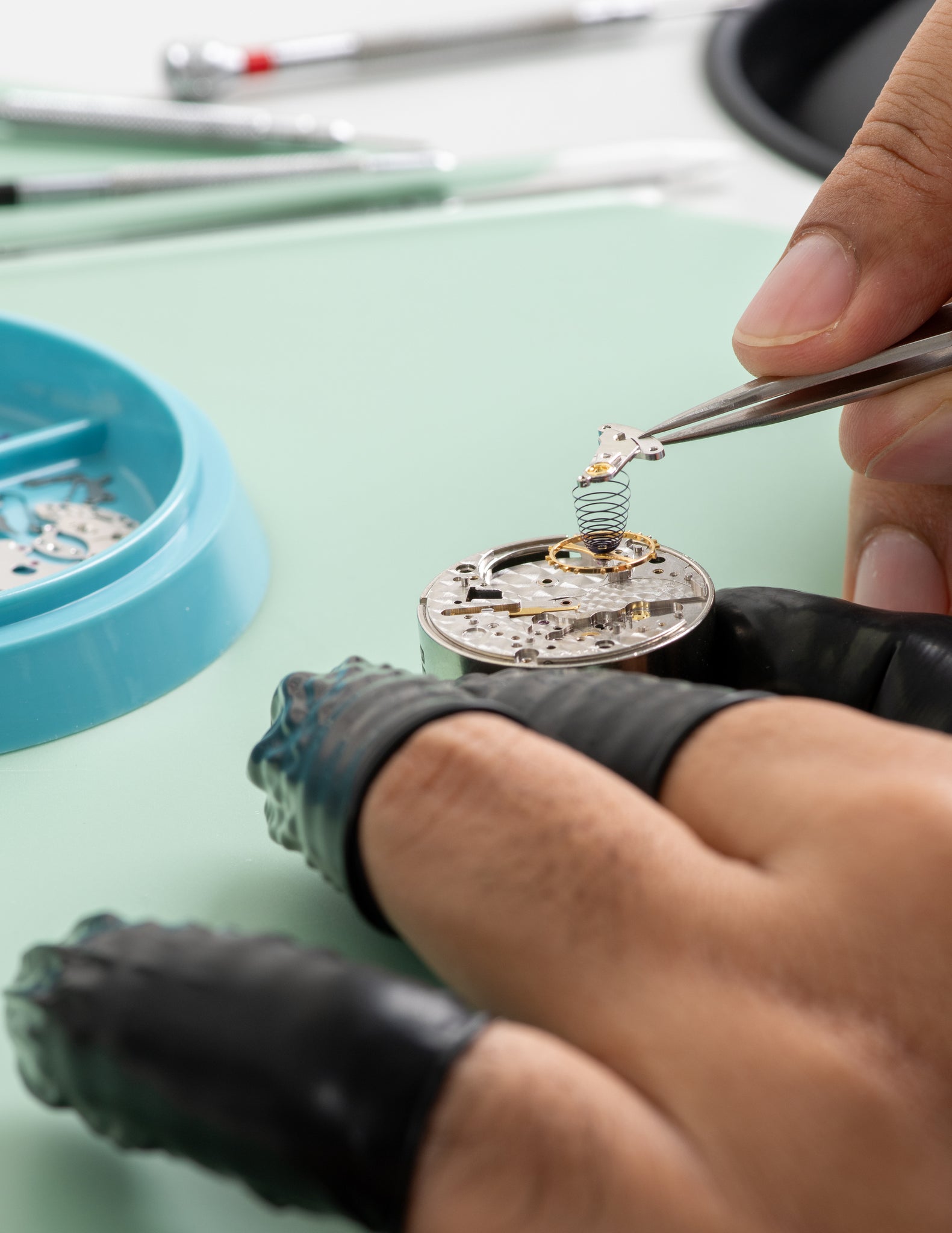 The Independent Watchmaker in the Modern Market, Watches