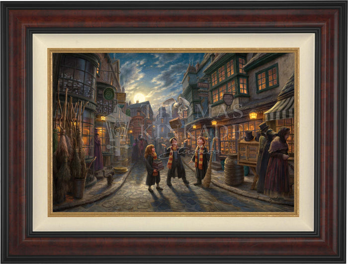 Harry Potter Framed Paintings