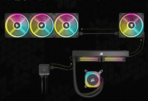 RGB Fans