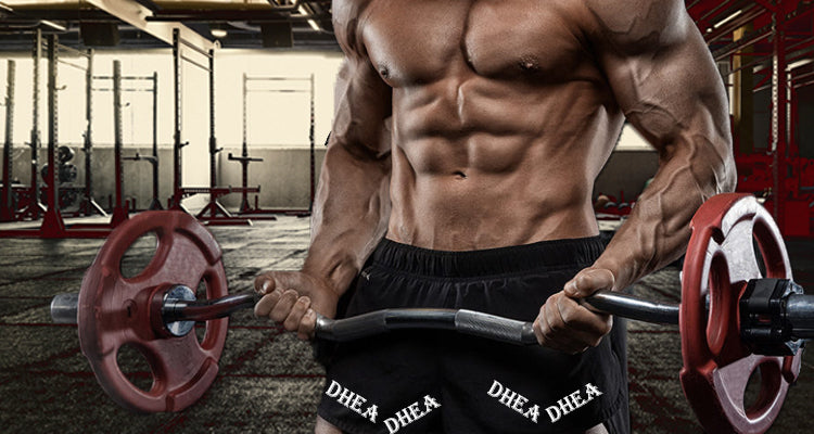 DHEA Supplement Enhances Performance of Weight Lifting