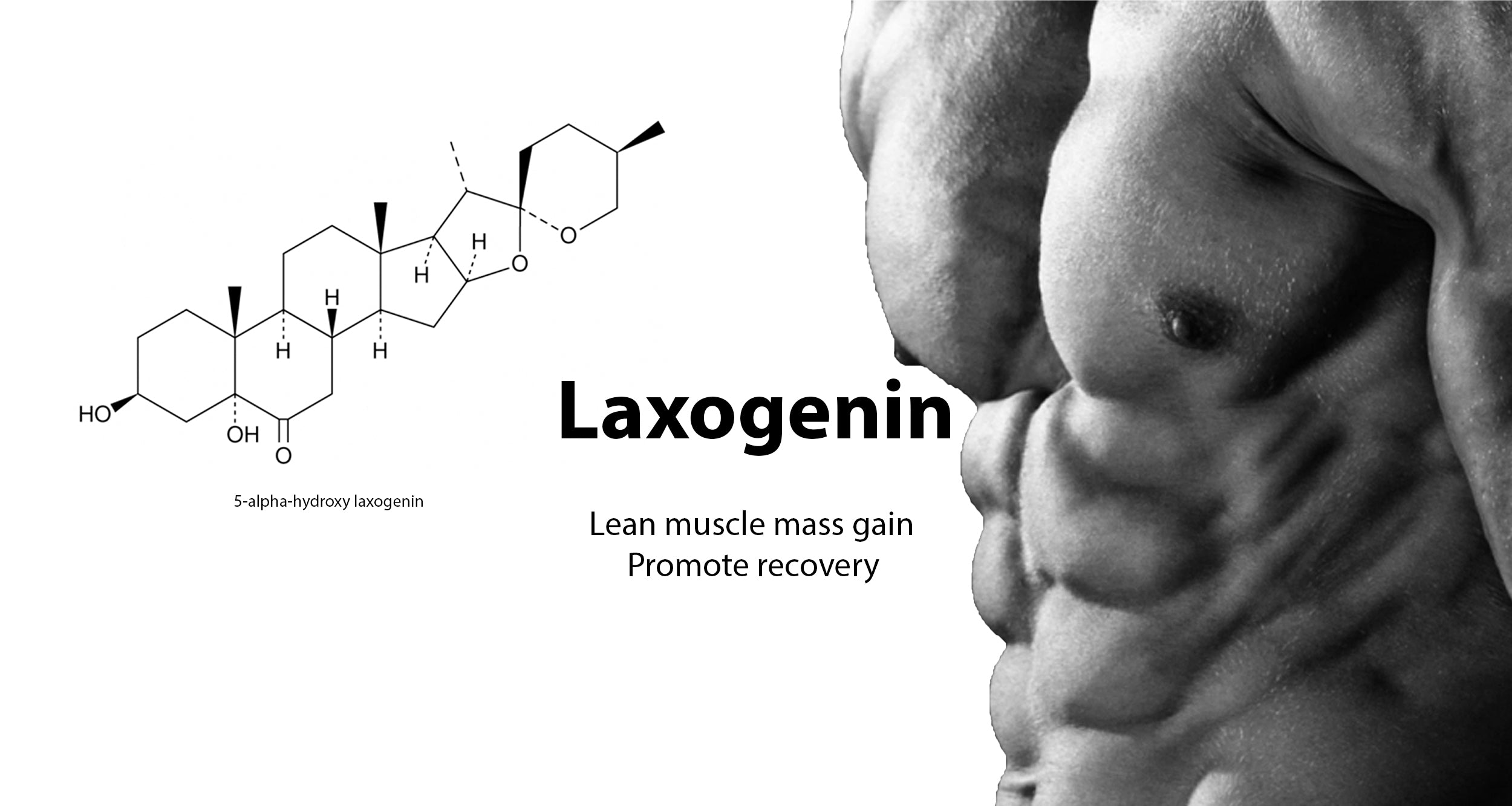 Laxogenin