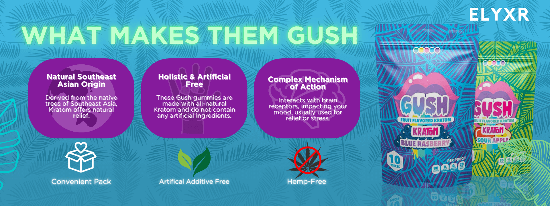 Gush Kratom Gummies Product Page Desktop Banner.png__PID:6a09ff2b-eadf-41db-ac67-77460925798b