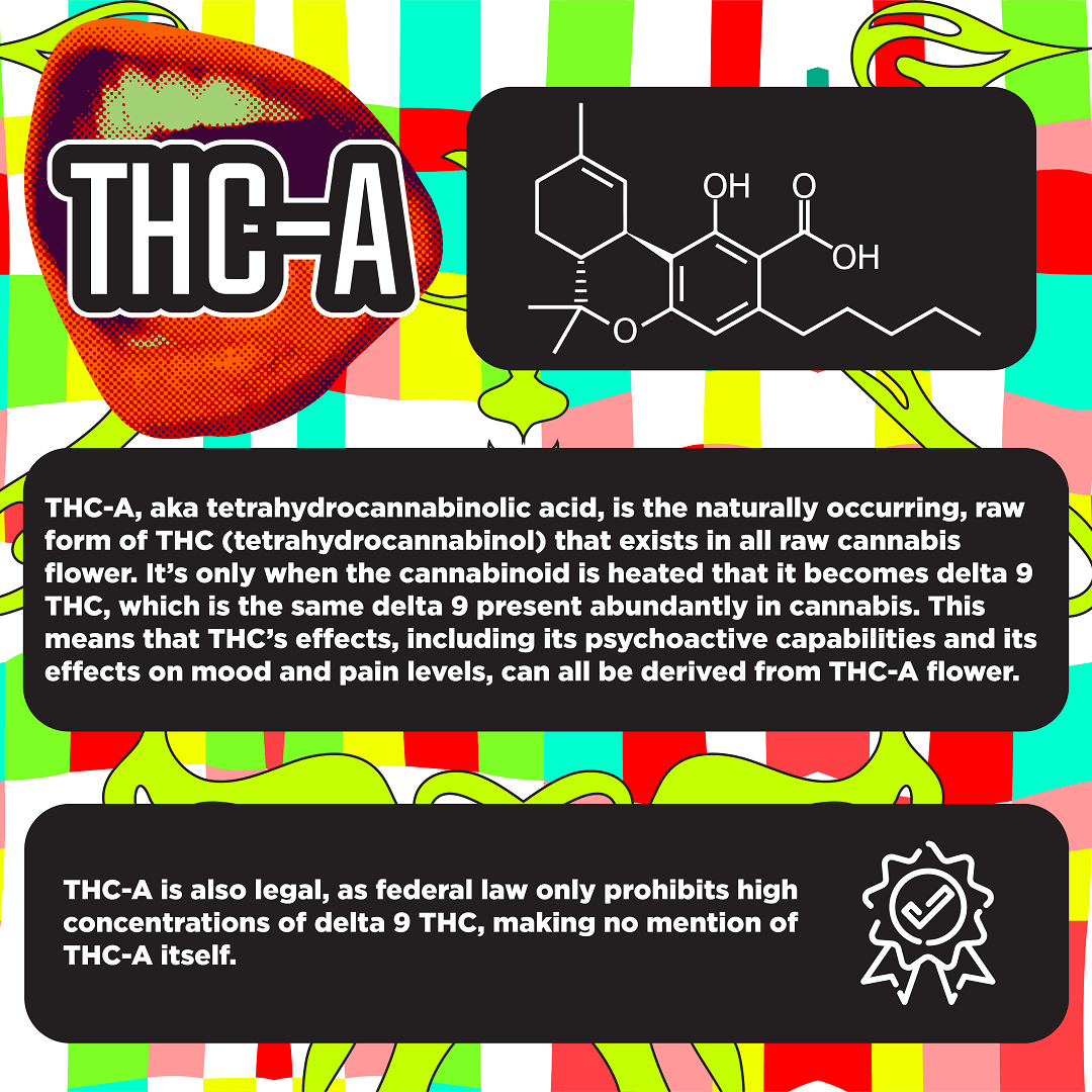 THC-A Full Spectrum Live Resin Dabs (1-5g) — ELYXR