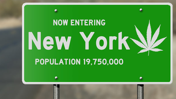 New York sign with Marijuana Logo