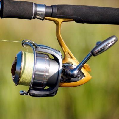 Shop Pike Fishing Reels for Your Next Adventure