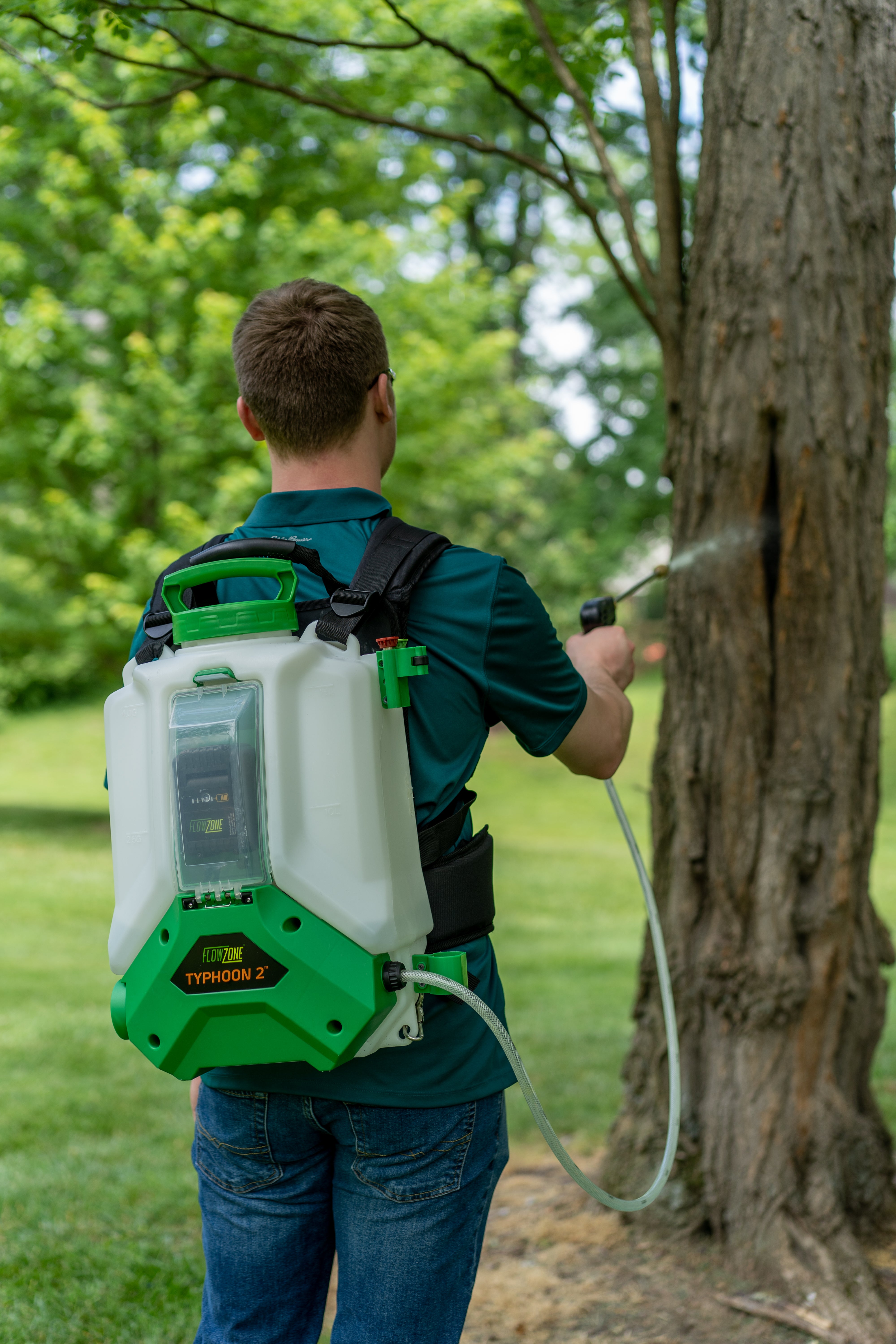 spraying tree