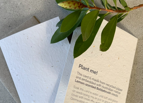 Plants, Free Full-Text