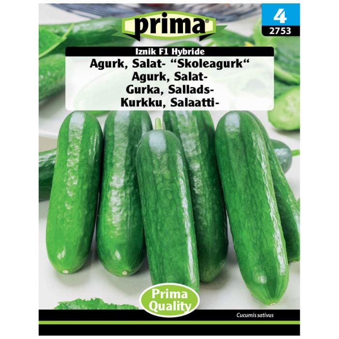 Billede af Prima - PRIMA® Frø - Agurk, Salat- Skoleagurk