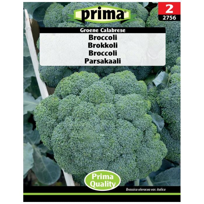 Se Prima - PRIMA® Frø - Broccoli hos Suztain