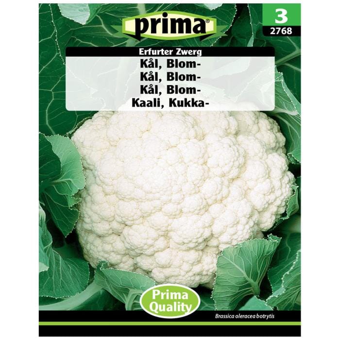 Billede af Prima - PRIMA® Kål, Blom-