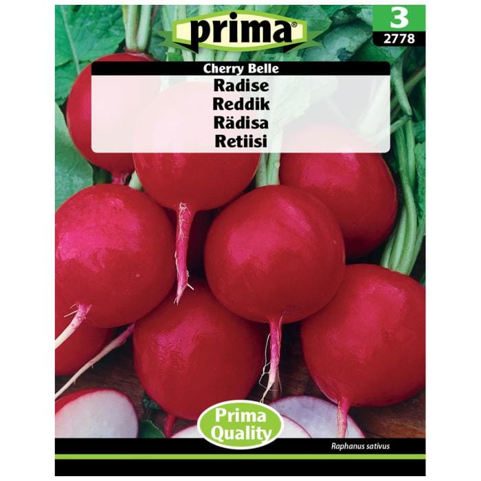 Billede af Prima - PRIMA® Radise