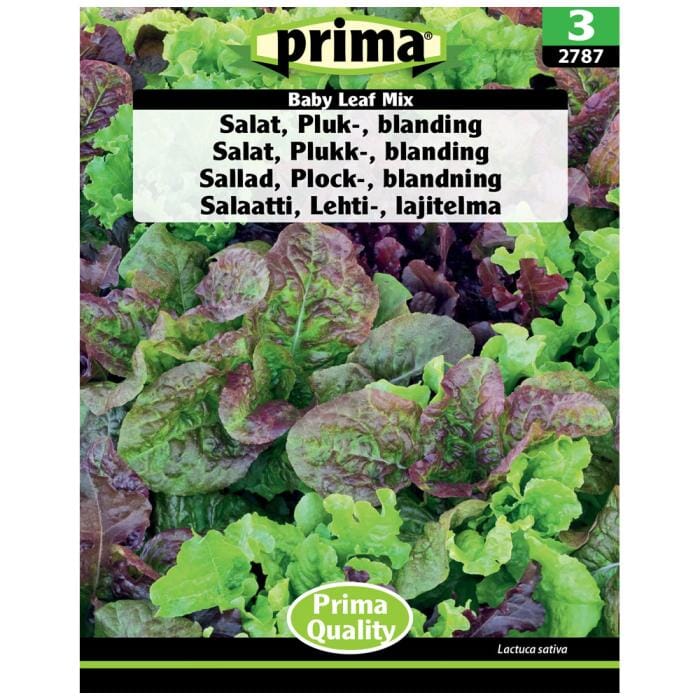 Billede af Prima - PRIMA® Frø - Salat, Pluk-, Blanding