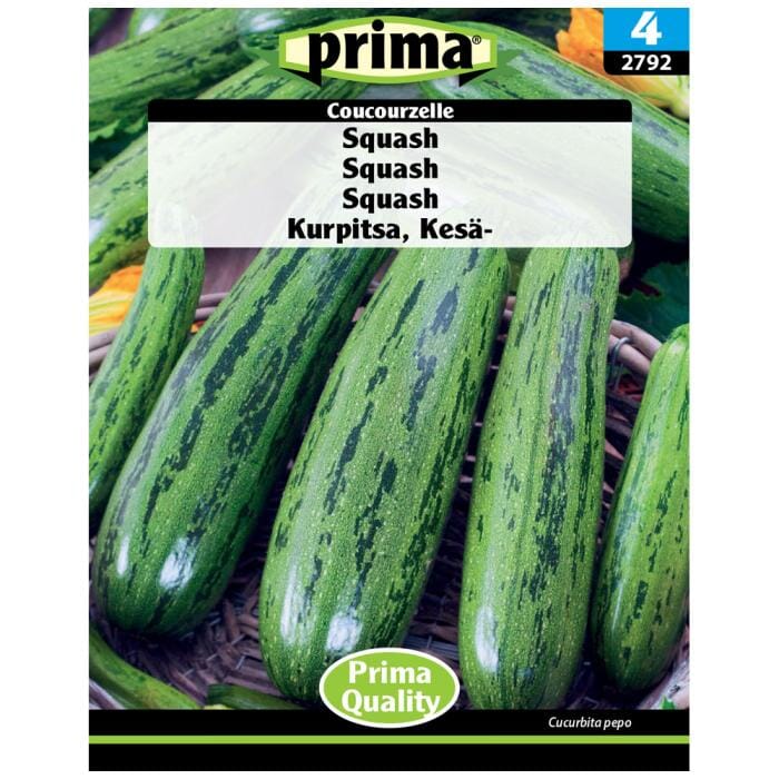 Se Prima - PRIMA® Frø - Squash Coucourzelle hos Suztain