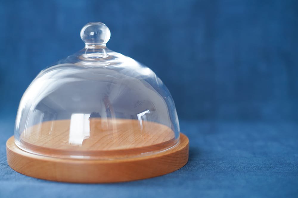 内田洋子 | glass dome / wood plate