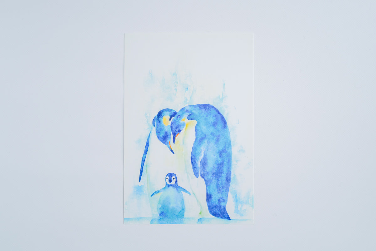 星野綾子 - color + life | ポストカード / 皇帝ペンギン