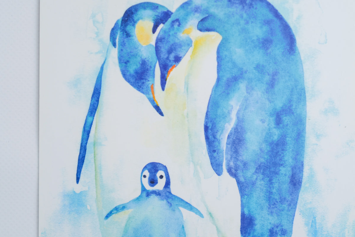 星野綾子 - color + life | ポストカード / 皇帝ペンギン
