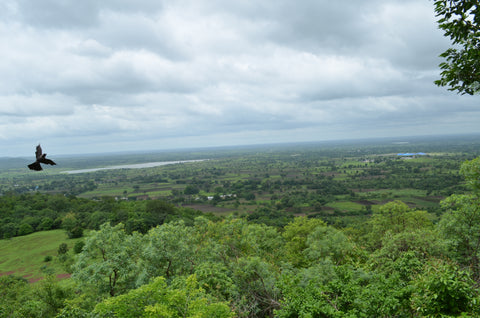 Ananthagiri Hills, Vikarabad district
