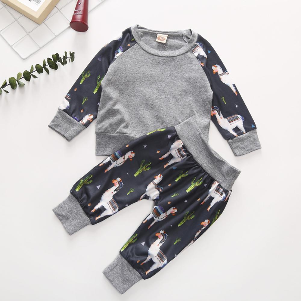 Baby Boys Cartoon Print Long Sleeve Top & Pants Wholesale Boys Clothing