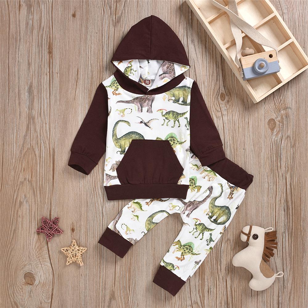 Baby Boys Dinosaur Hooded Top & Pants Baby Clothes Warehouses