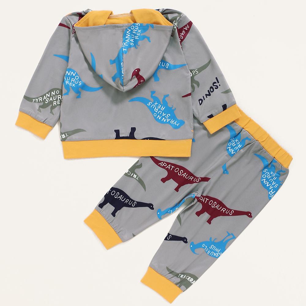 Baby Boys Pattern Dinosaur Hooded Top & Pants Wholesale Baby Cloths