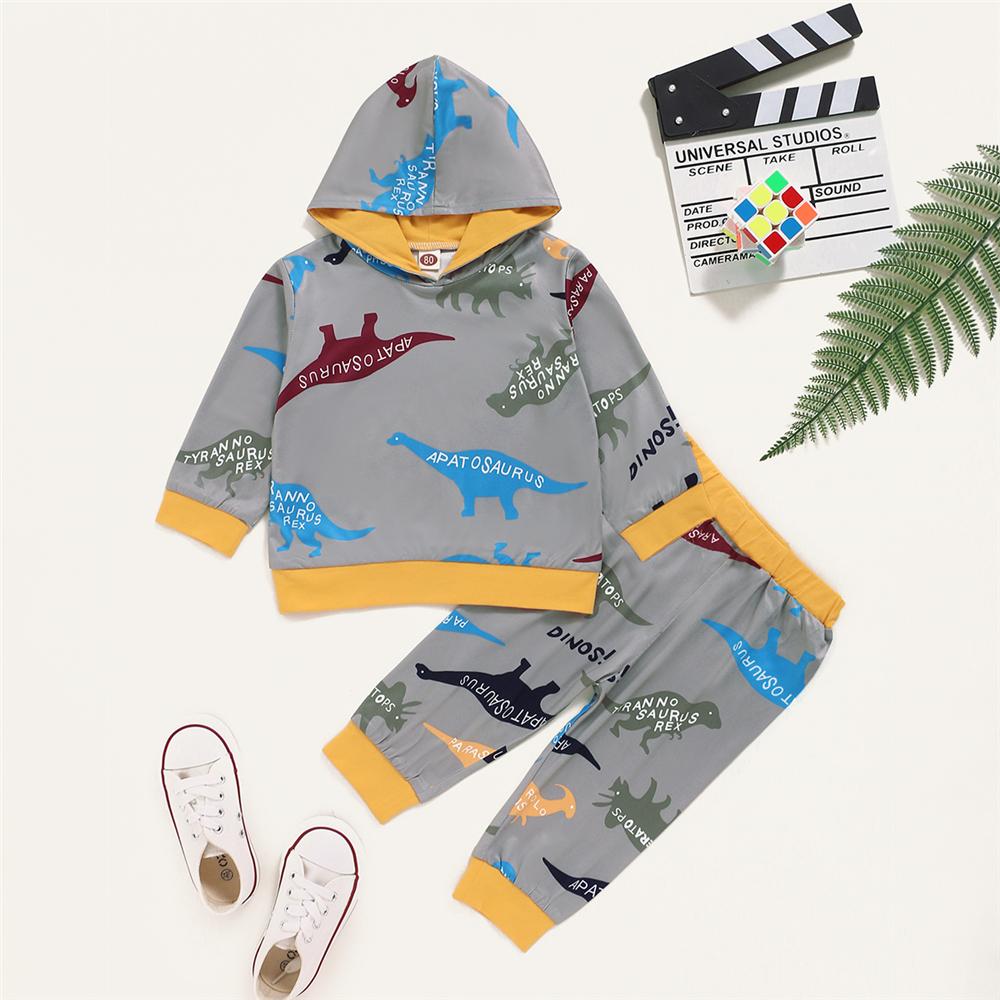 Baby Boys Pattern Dinosaur Hooded Top & Pants Wholesale Baby Cloths