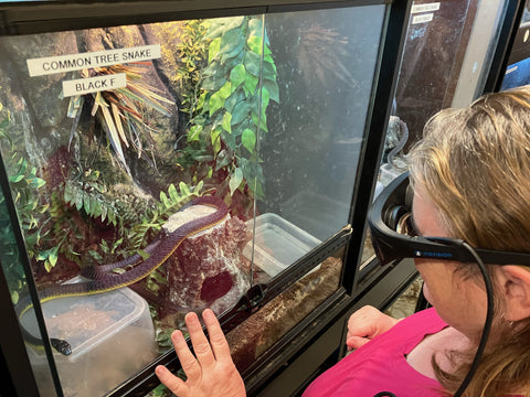 Woman wearing IrisVision Aspire to view a snake in a glass cage. her hand is on the glass