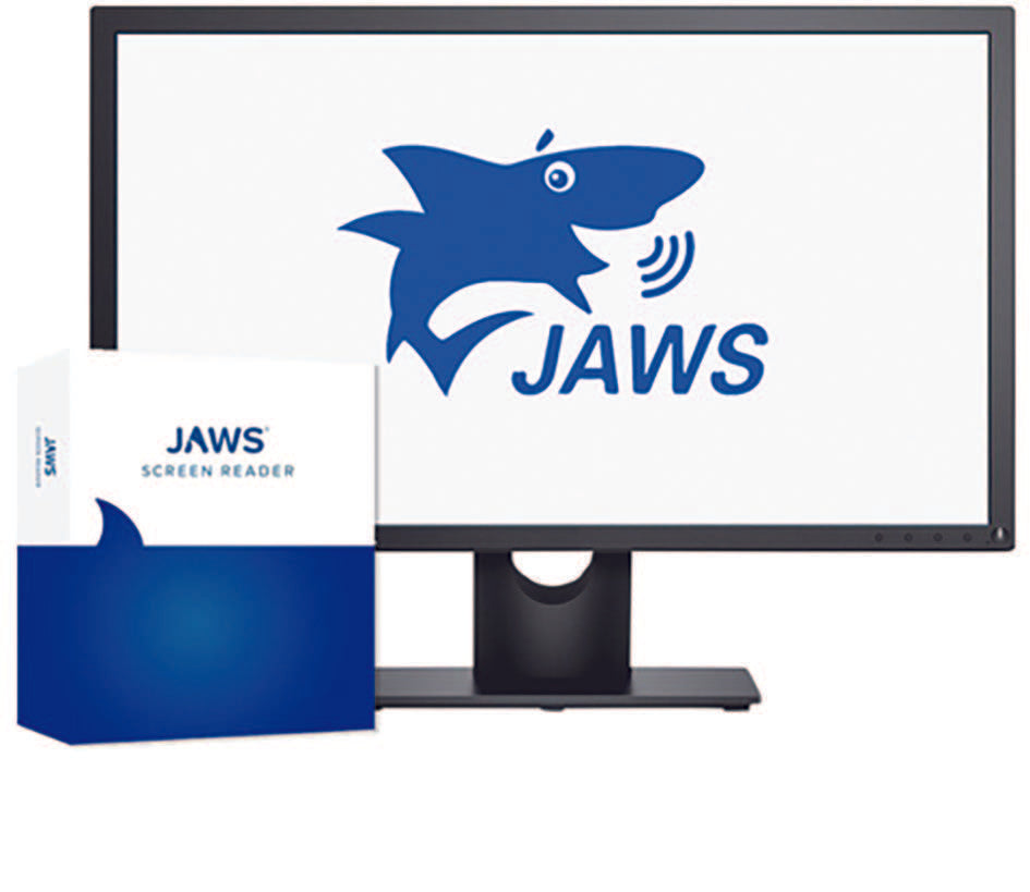 JAWS software box next to screen