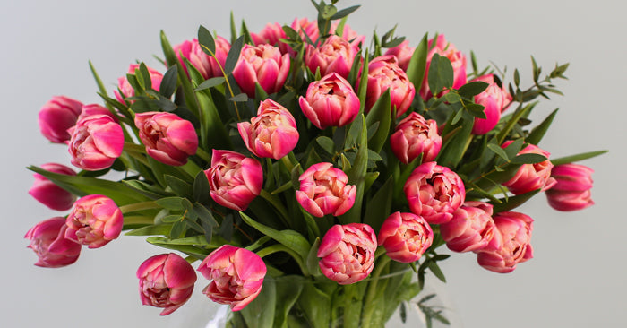 Tulip Columbus from Love Delivered