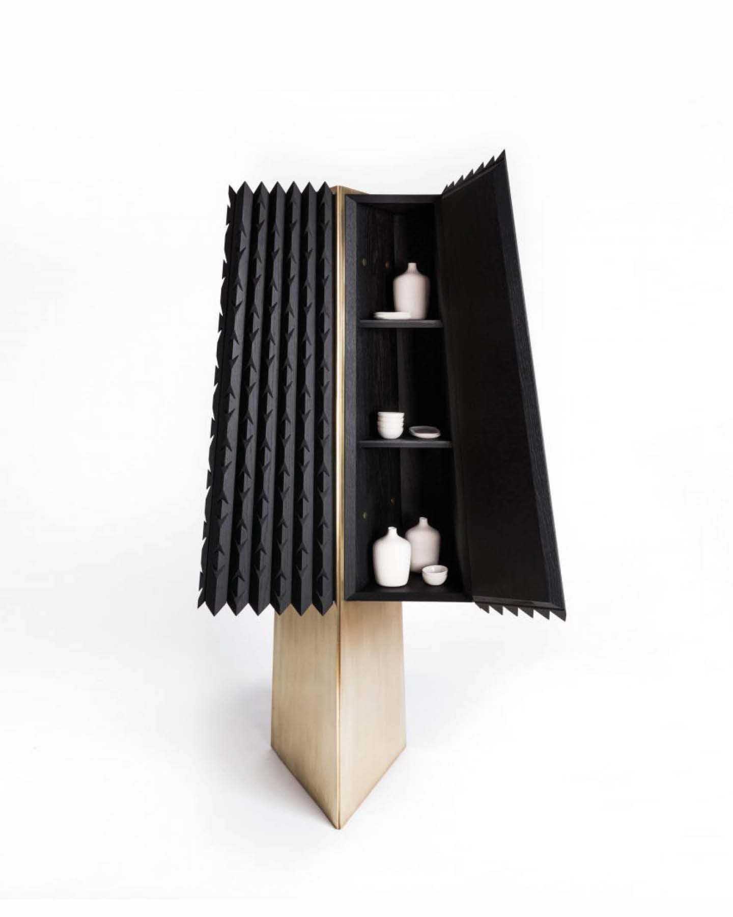 Agave Cabinet, By Esrawe Studio