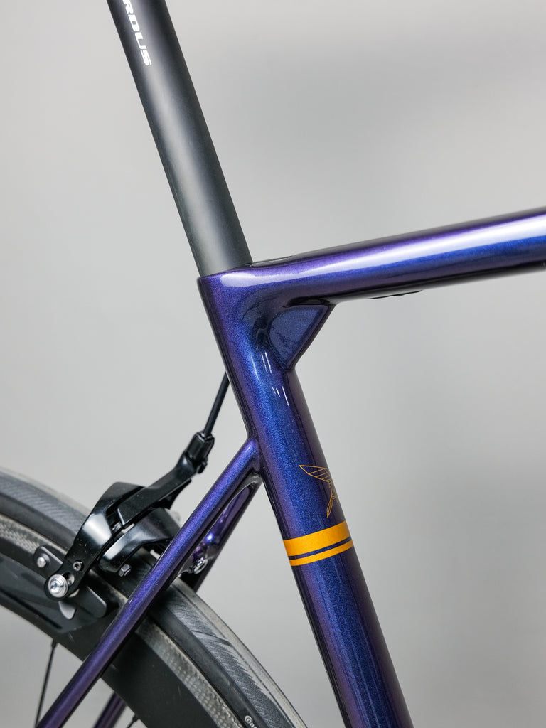 pardus robin sl frameset