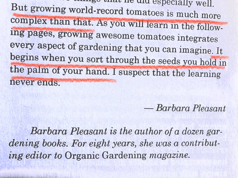 How to Grow Word Record Tomatoes