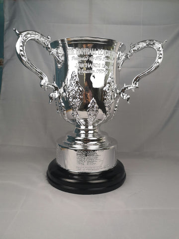 League Cup Carabao Cup Trophy 1 1 Real Size Euro2020