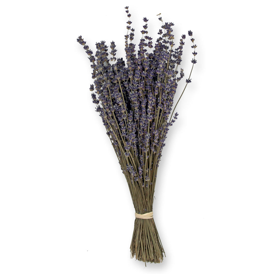 Melissa Dried Lavender Bundle