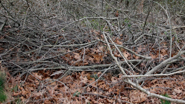 brush pile for wildlife at Copper Knoll Farms