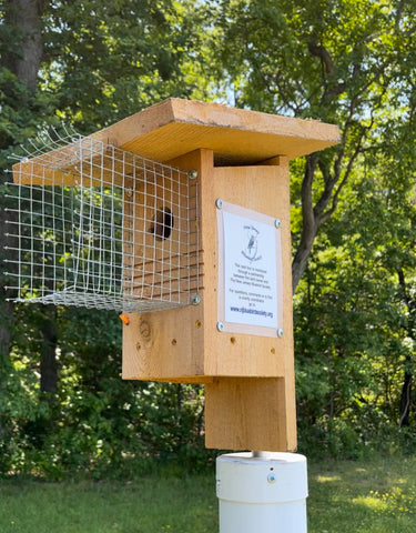 Knol Guard installed on bluebird box at Copper Knoll Farms