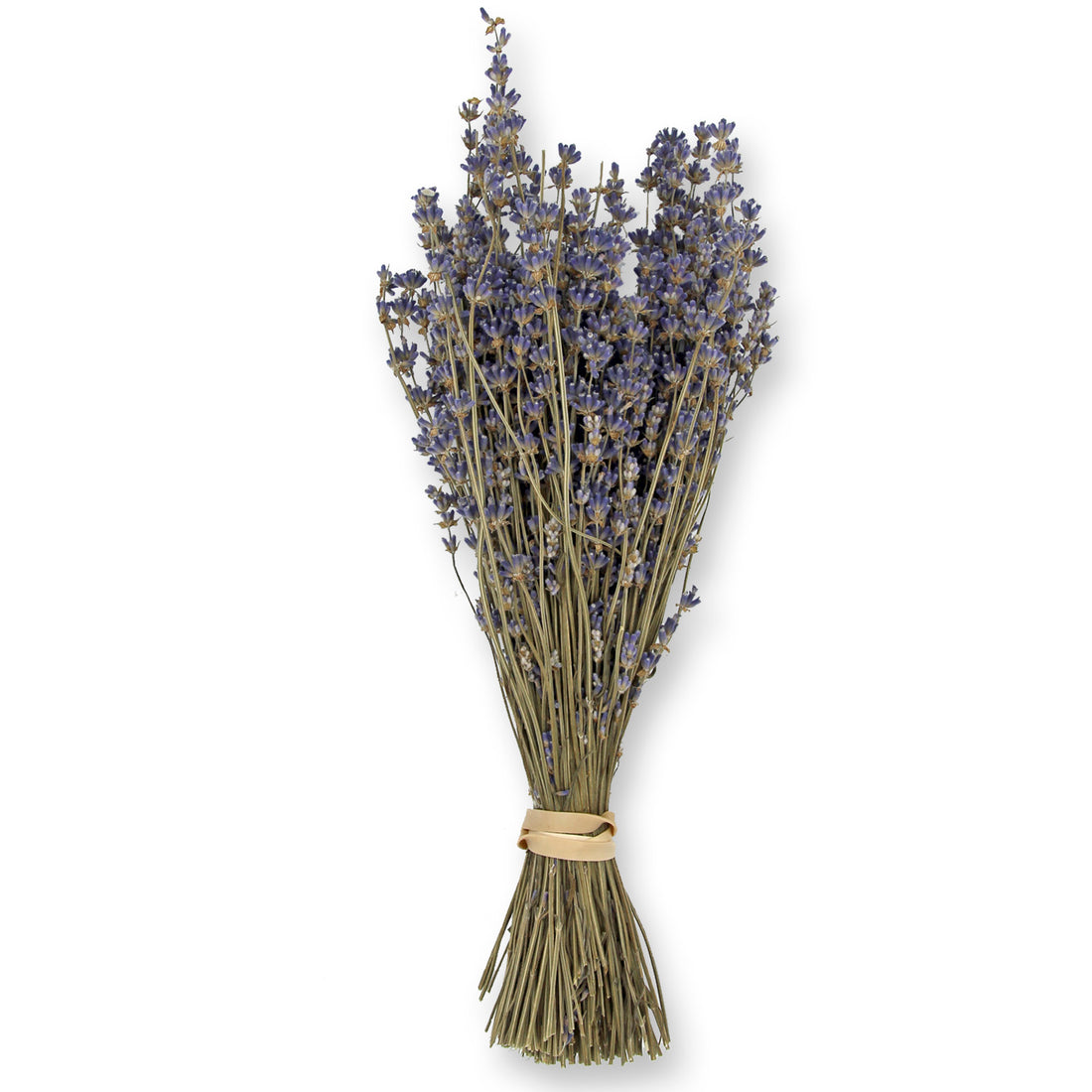 lavender dried flower bunch and bundle