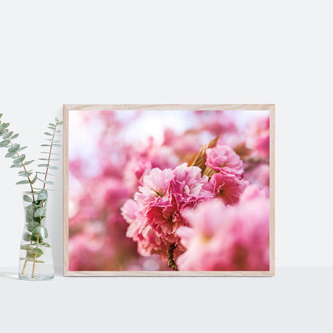 cherry blossom wall art print