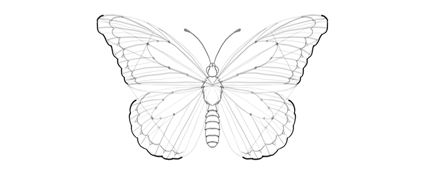papillon 3D, 3D Drawing , By Le dessin et comment apprentre
