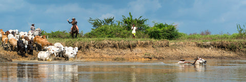 Crossing The River