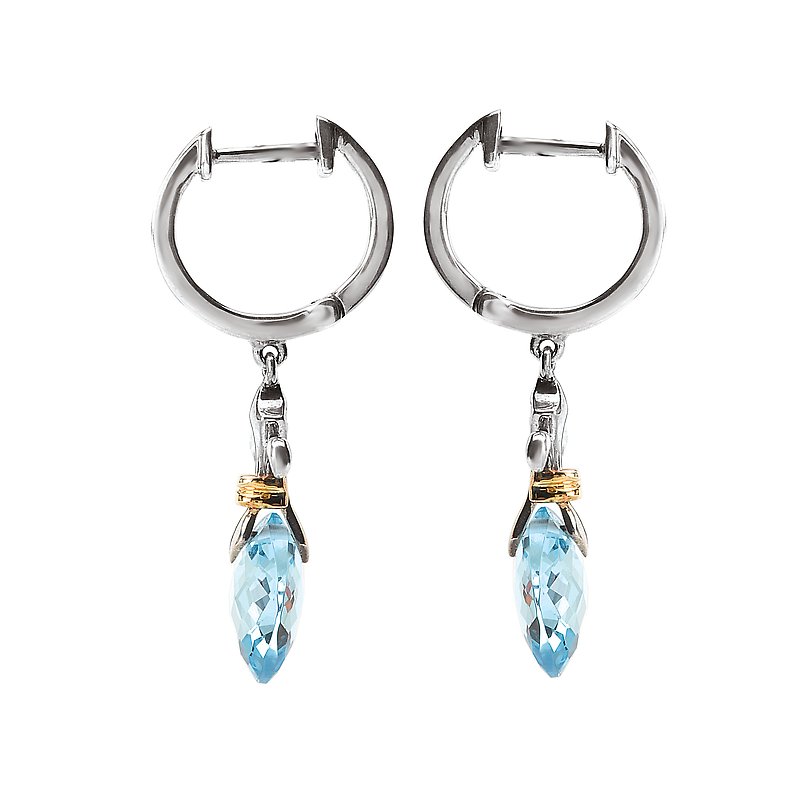 Eleganza Ladies Fashion Gemstone Earrings – Bakers Jewelry