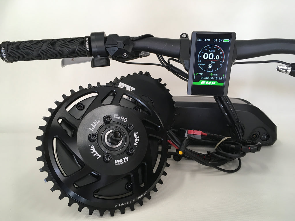 1000 watt e bike