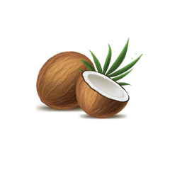 coconut