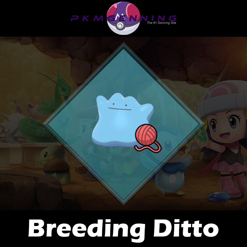 Breeding Ditto Pkmgen