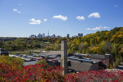 view from the top of evergreen brickworks