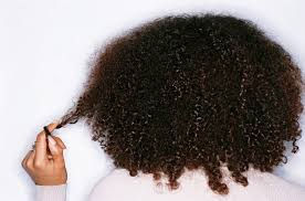 Deciding what protective style is best for their natural curly hair.