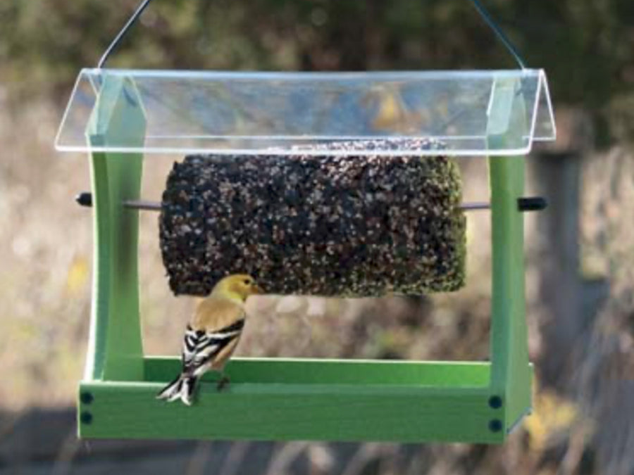 seed cylinder bird feeder