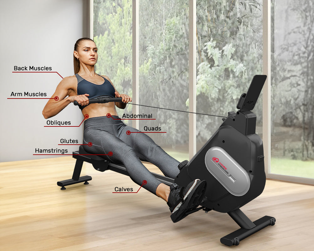 Exercising with a Rowing Exercise Machine Involves a Lot of Muscles