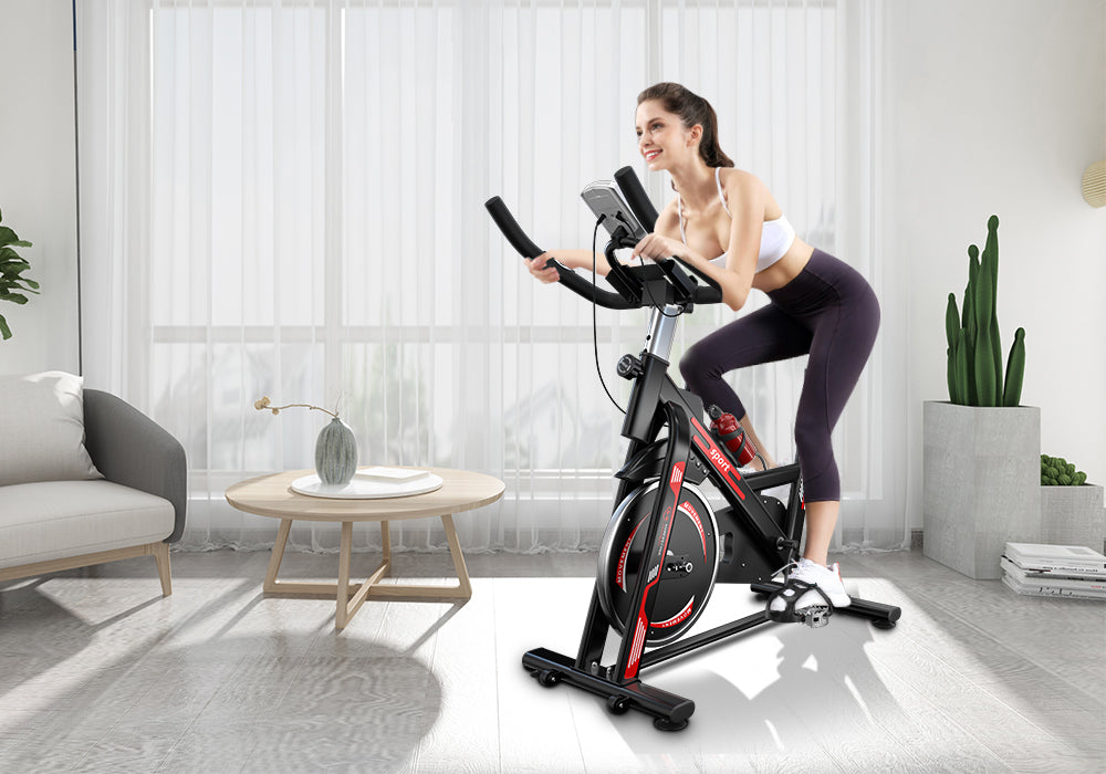 Indoor Exercise Bike