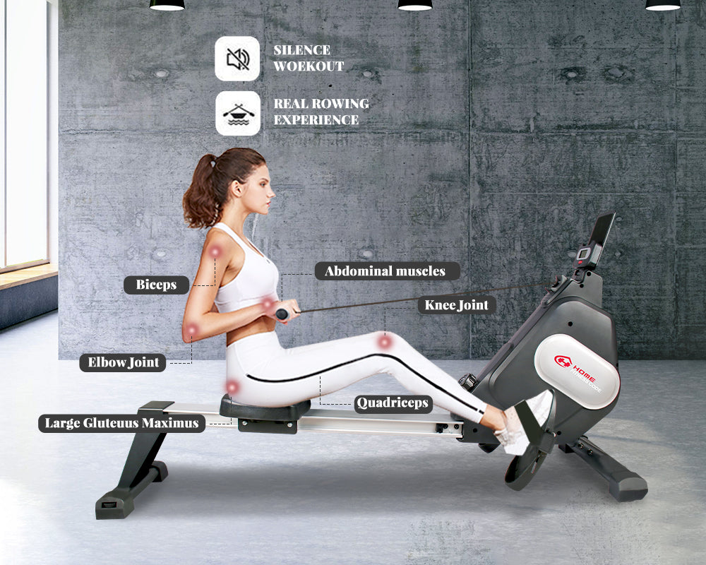 Rowing Exercise Machine can Work Most Muscles in the Body