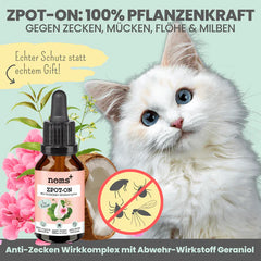 Natürliches Mittel gegen Flöhe bei Katzen Foto